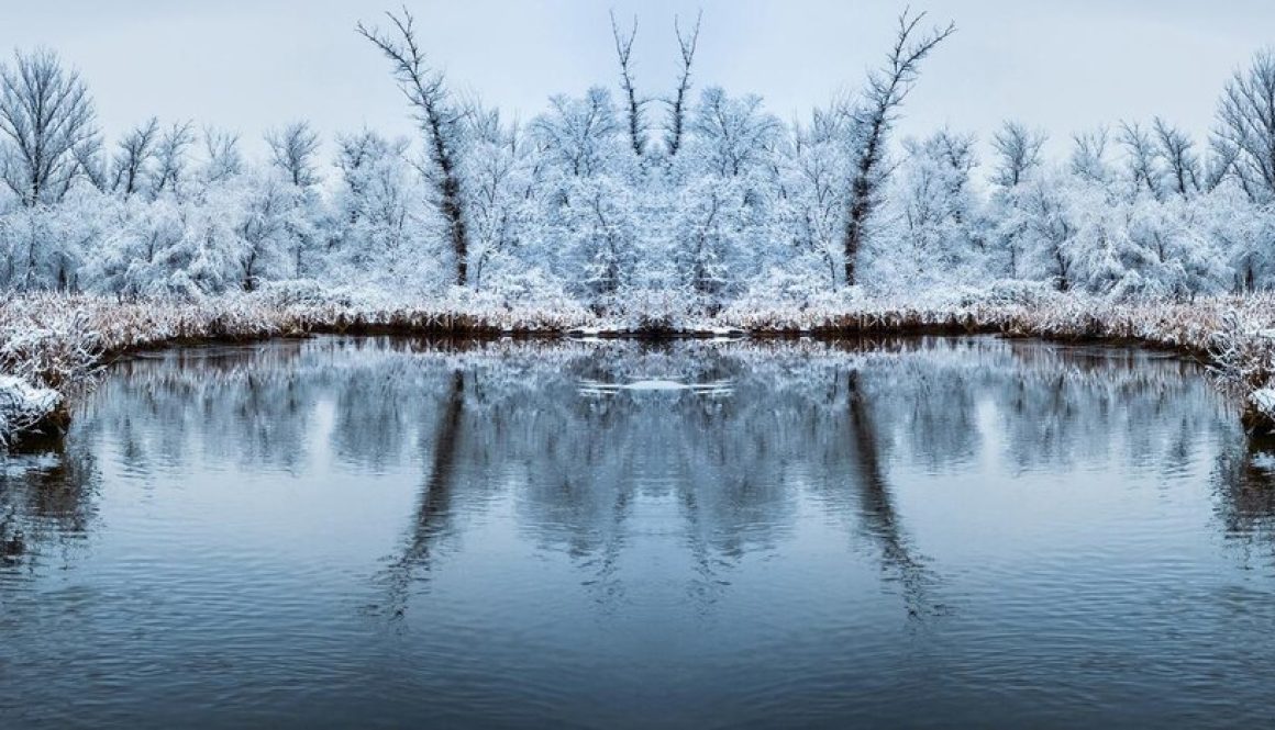 winter pond
