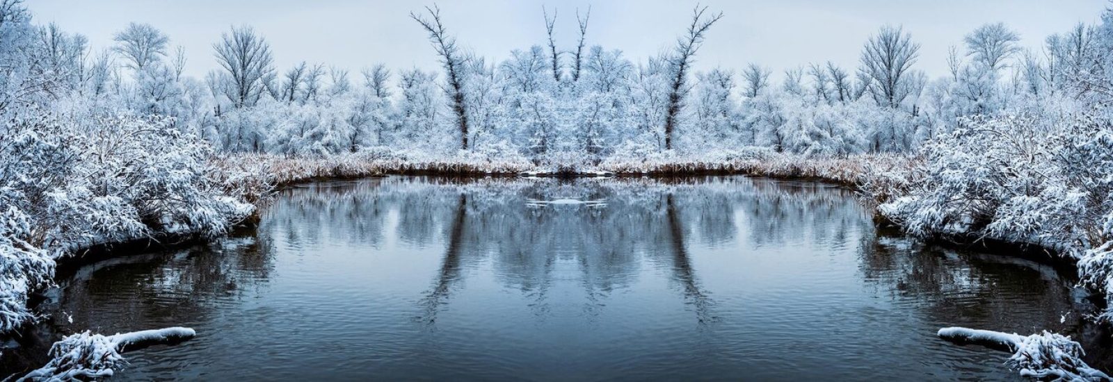 winter pond