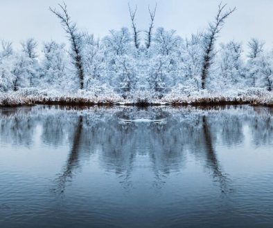 winter pond